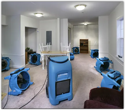 Water Damage Restoration services in Brownsville, FL