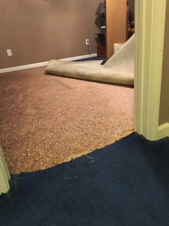 Carpet pad removal revealing water damage during Drying & Dehumidification in Brownsville