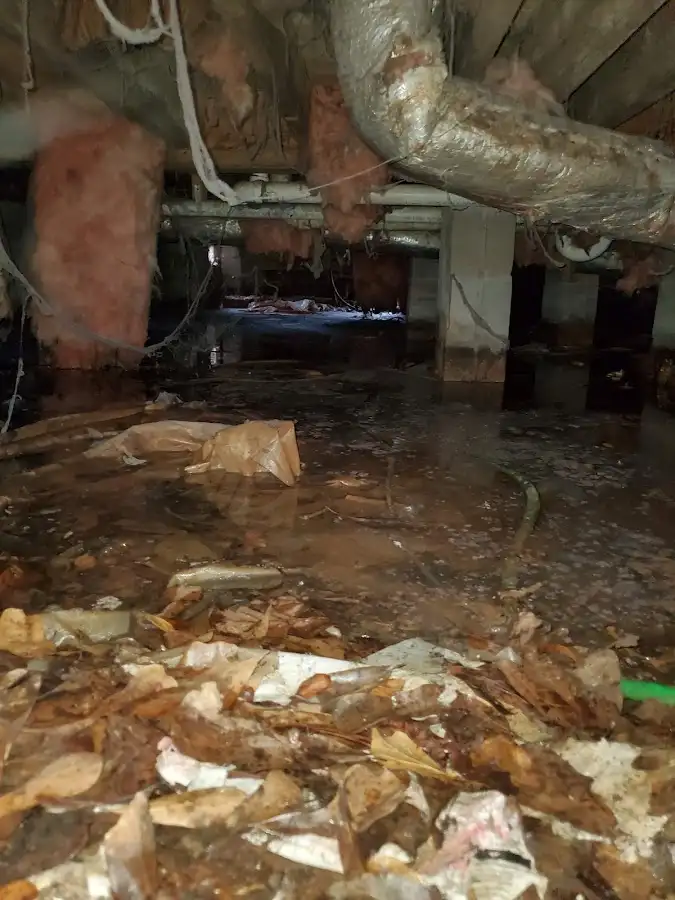 Crawl space flood assessment for Leak Detection & Repair in Brownsville